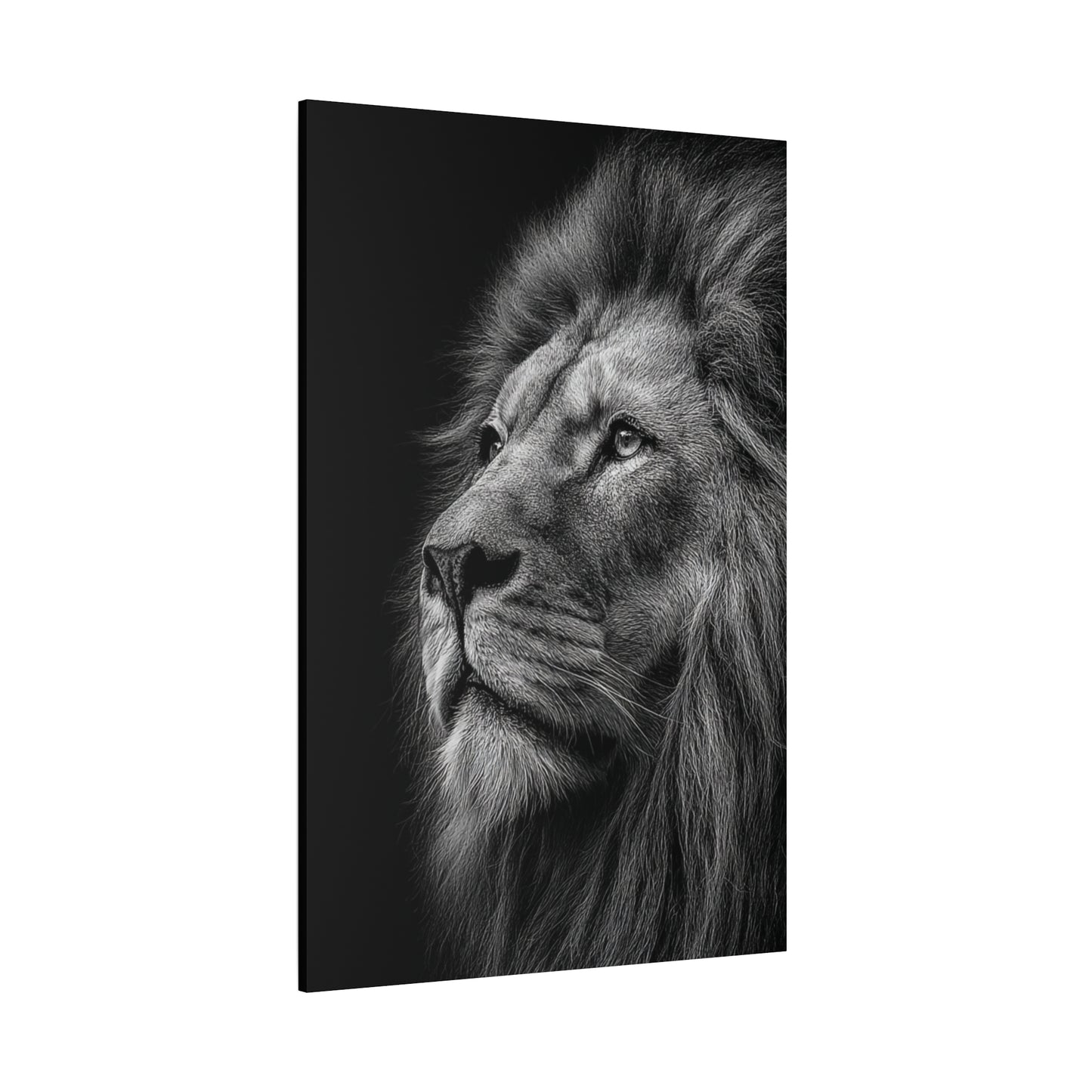 Black and White Lion Canvas Wall Art
