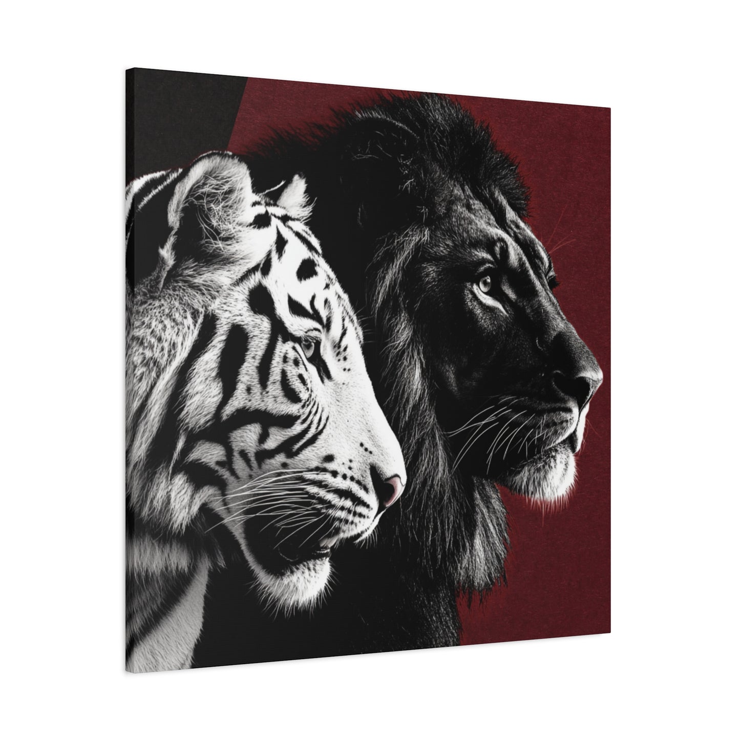 Black and White Lion and Tiger Heads Canvas Art