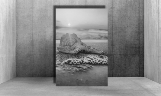 Tranquil Shores in Silhouette -  Canvas Wall Art
