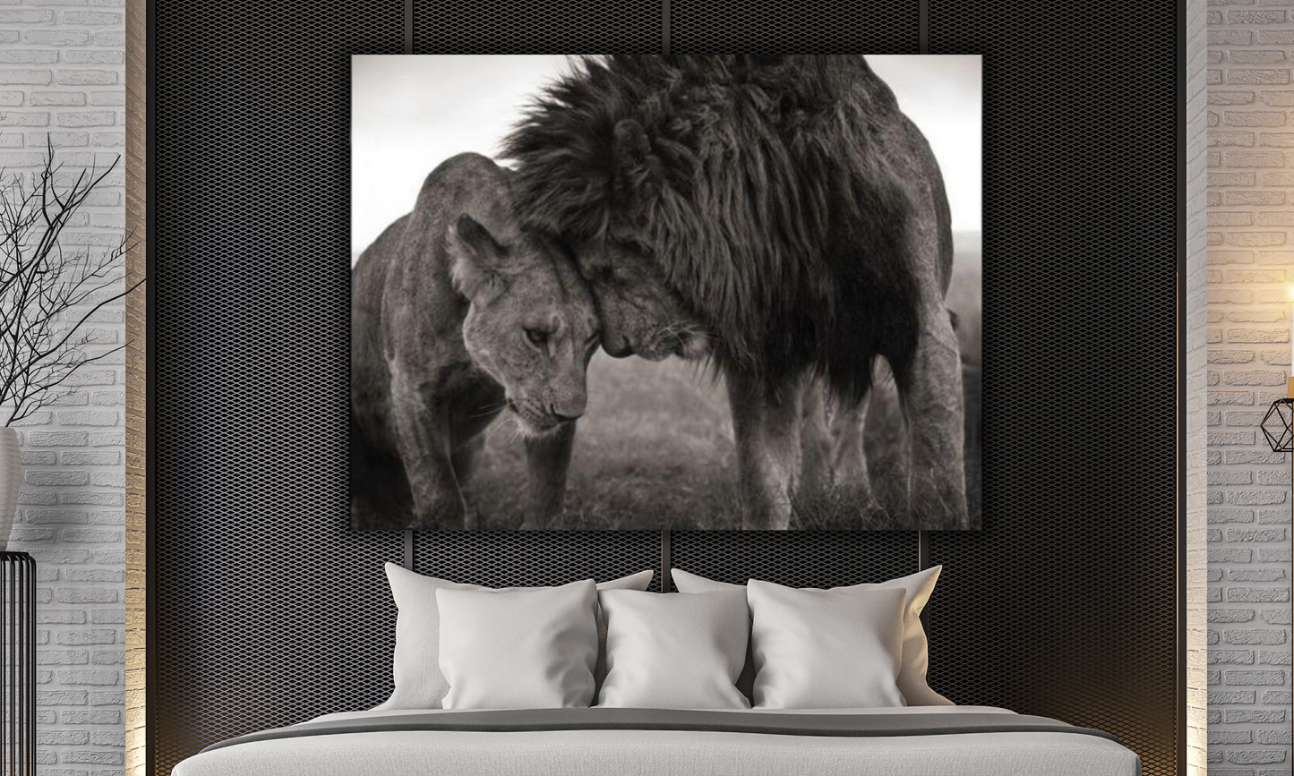 Black and White Lion and Lioness - Canvas Art Print