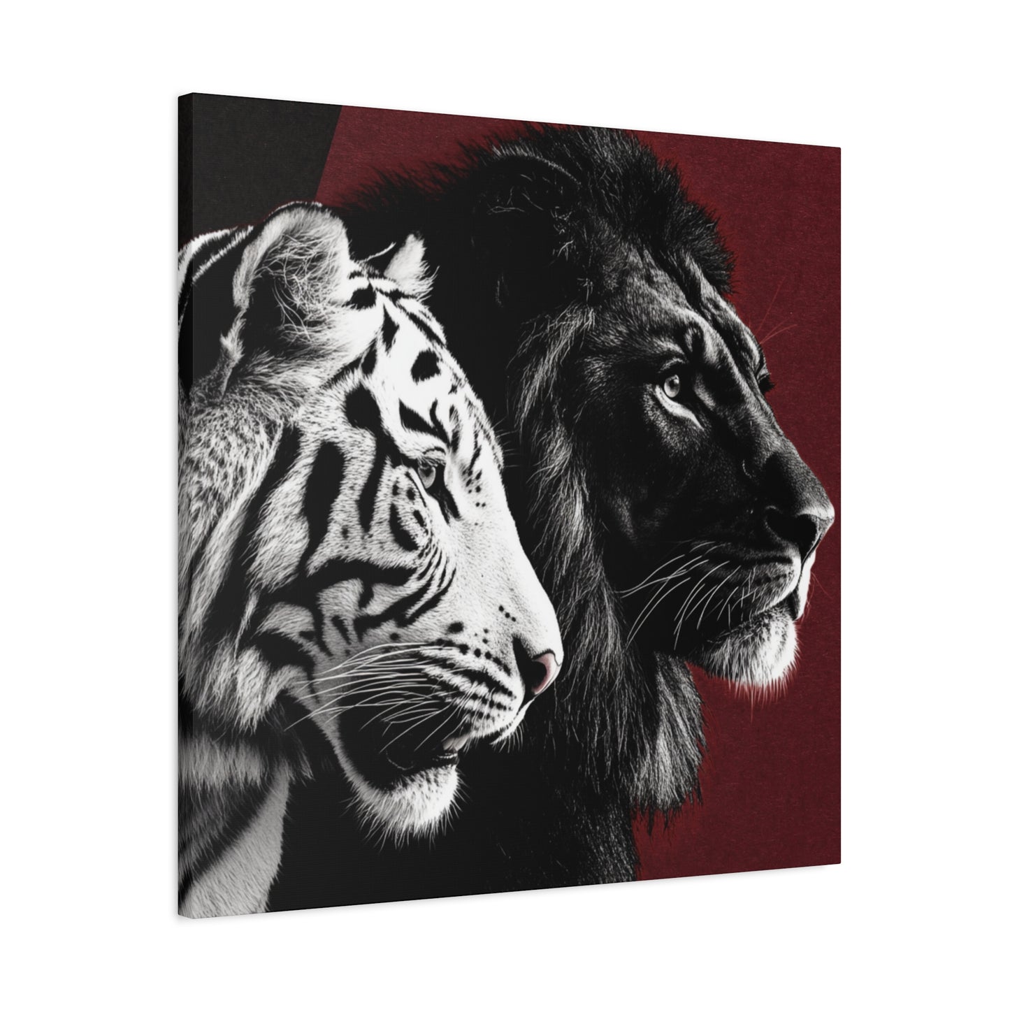 Black and White Lion and Tiger Heads Canvas Art