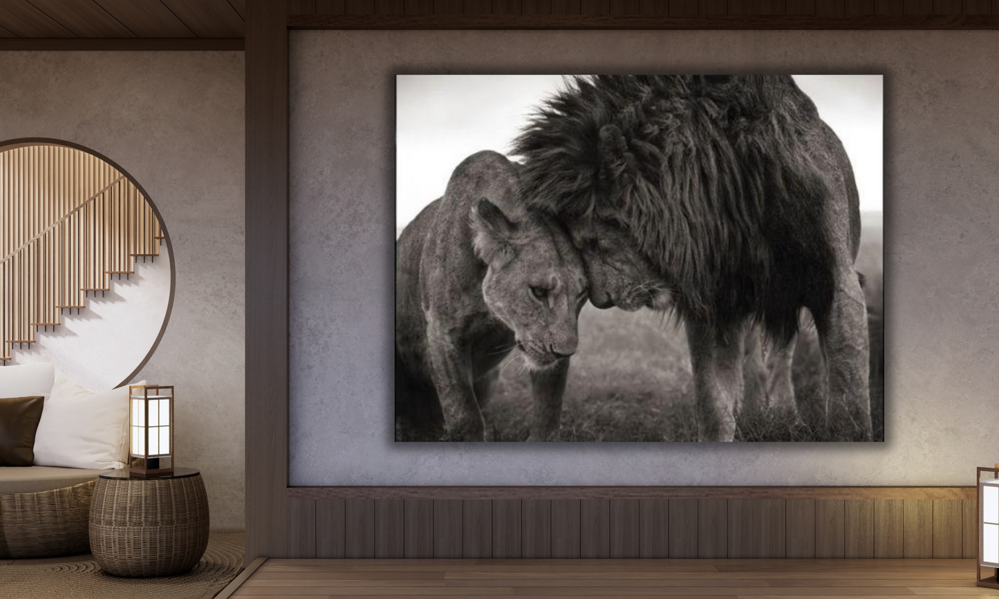 Black and White Lion and Lioness - Canvas Art Print